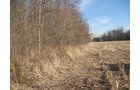 Property photo 17 - 44 Acres Offered in 3 Tracts